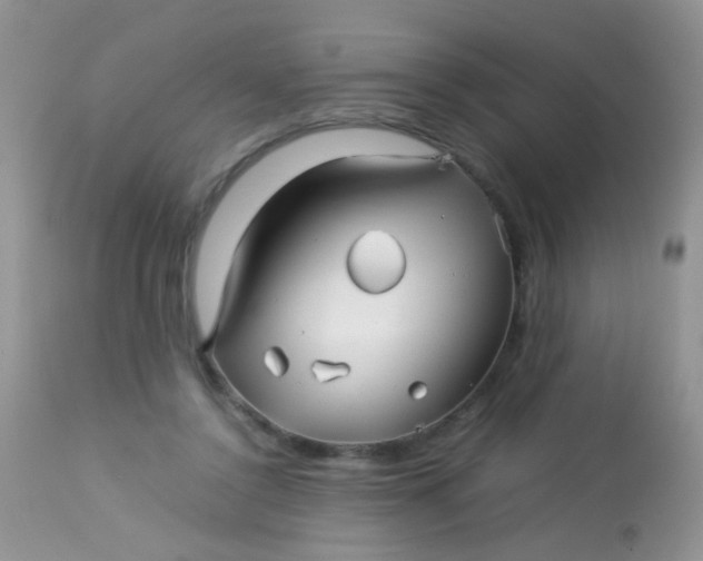 X0000113090356200909182120