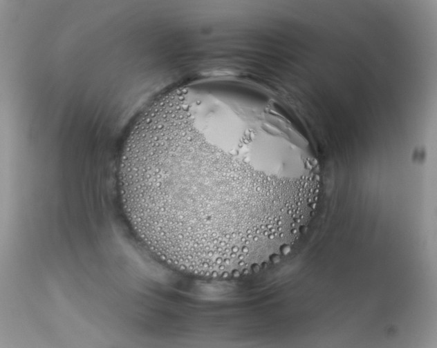 X0000113090359200909182120