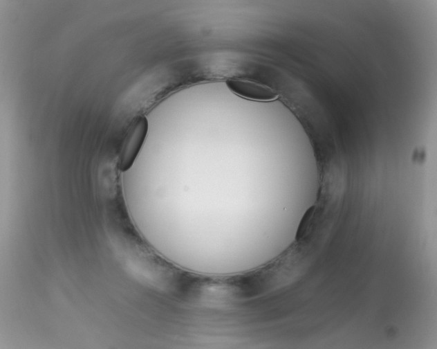 X0000113090360200909182120