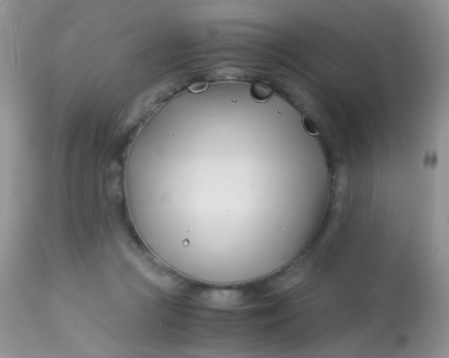 X0000113090361200909182120