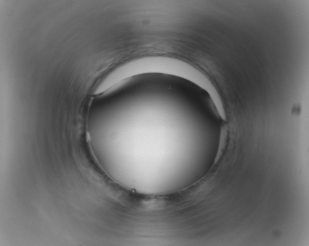 X0000113090362200909182120