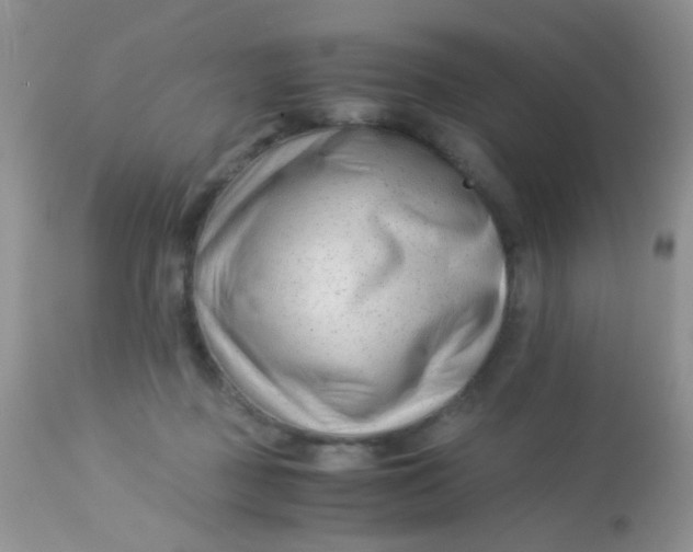 X0000113090363200909182120