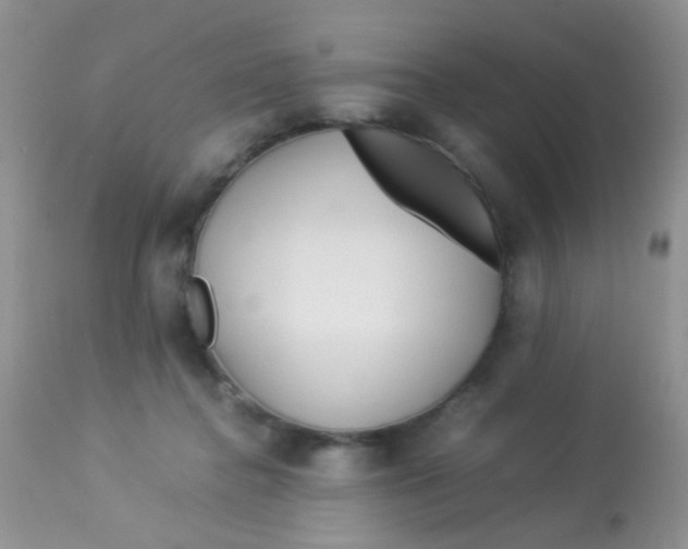 X0000113090364200909182120