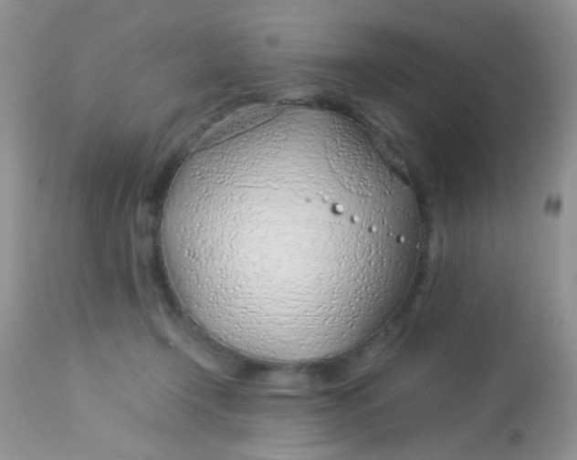 X0000113090366200909182120