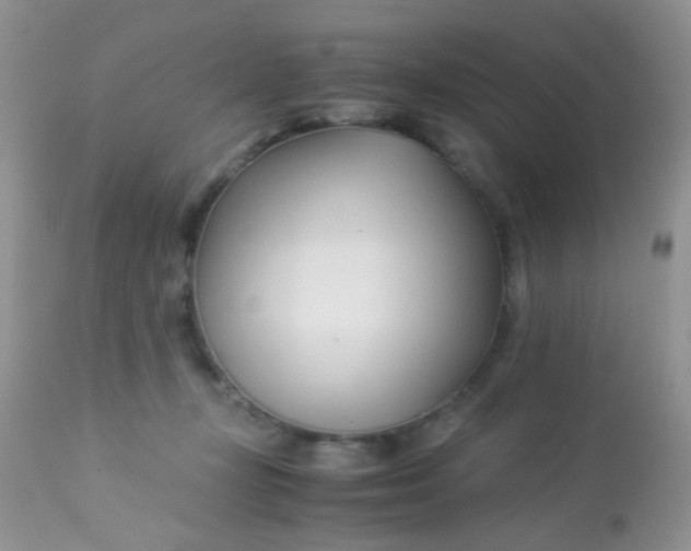 X0000113090367200909182120