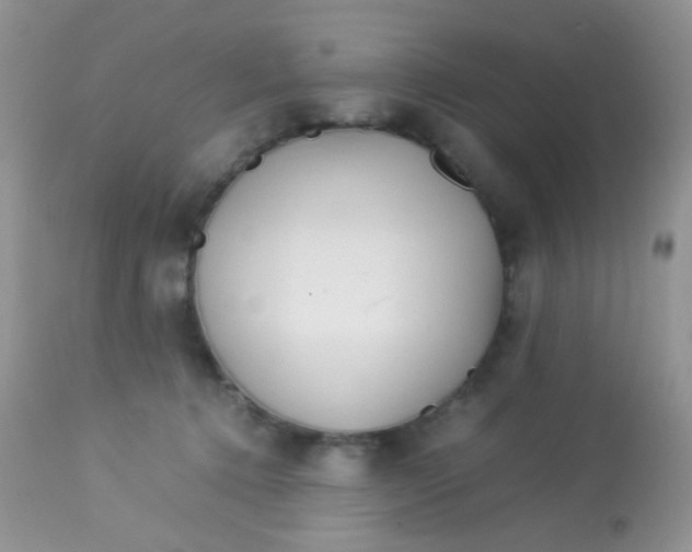 X0000113090368200909182120