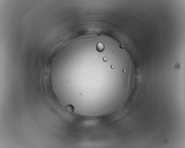 X0000113090369200909182120