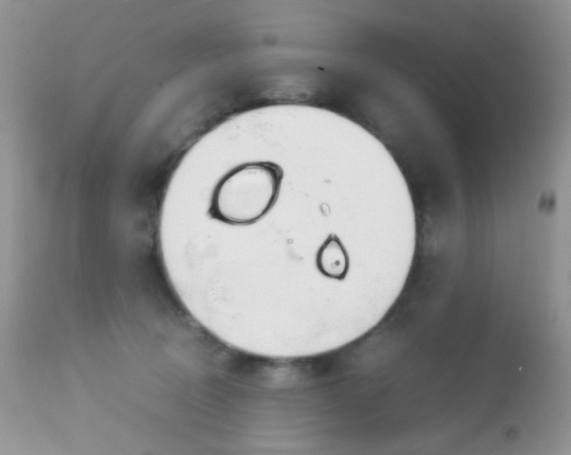 X0000113090370200909182120