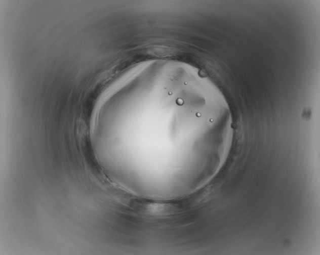 X0000113090371200909182120