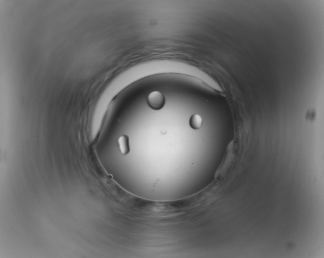 X0000113090372200909182120