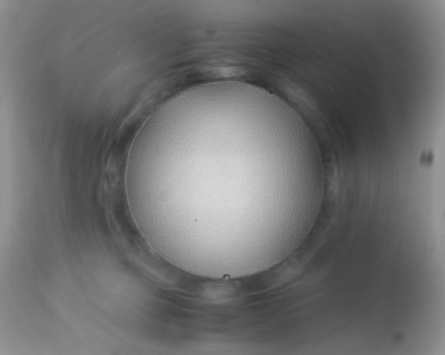 X0000113090373200909182120