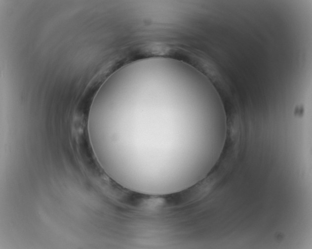 X0000113090374200909182120