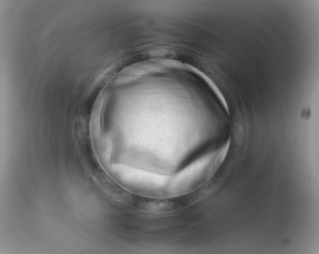 X0000113090375200909182120