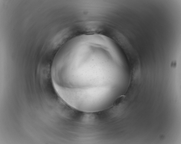 X0000113090376200909182120