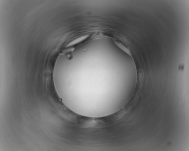 X0000113090379200909182120