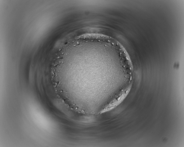 X0000113090381200909182120