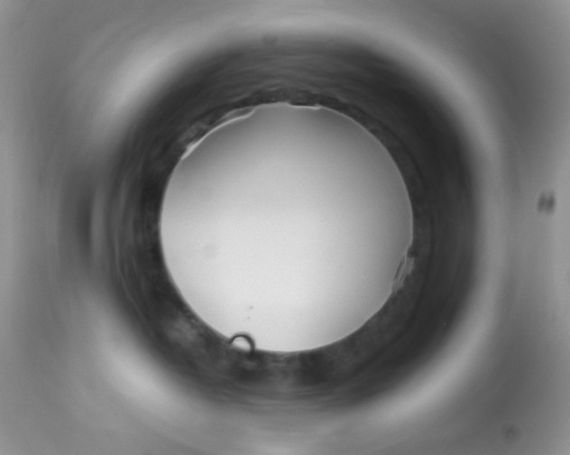 X0000113090382200909182120