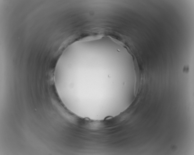 X0000113090383200909182120