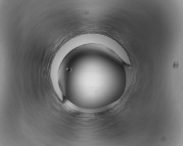 X0000113090384200909182120