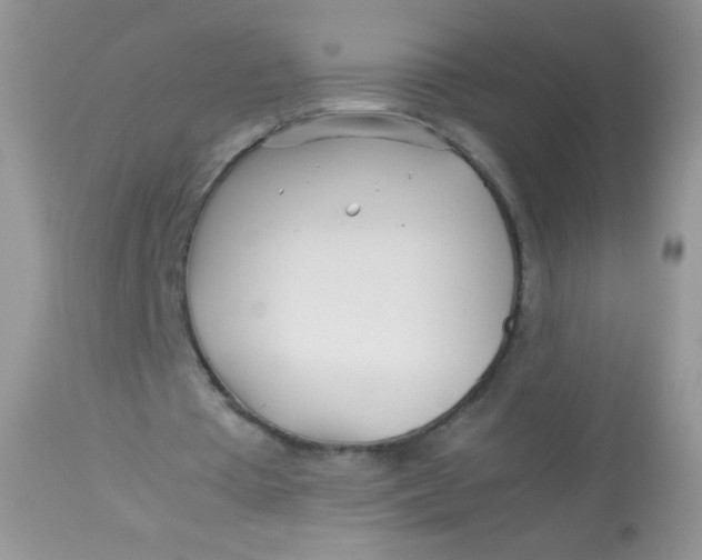 X0000113090385200909182120