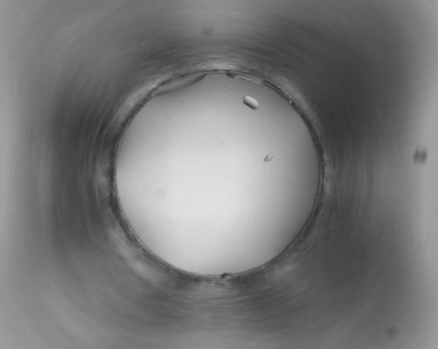 X0000113090386200909182120