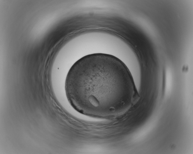 X0000113090387200909182119