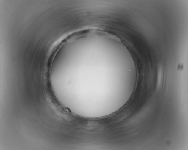 X0000113090388200909182119