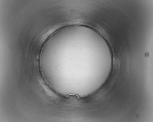 X0000113090389200909182119