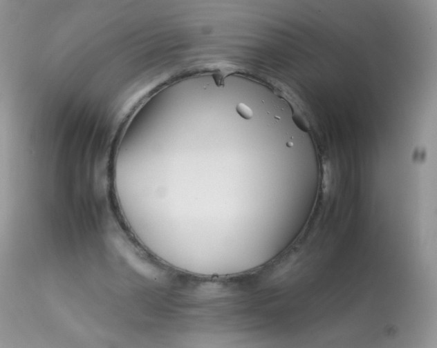 X0000113090390200909182119