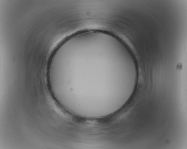 X0000113090391200909182119