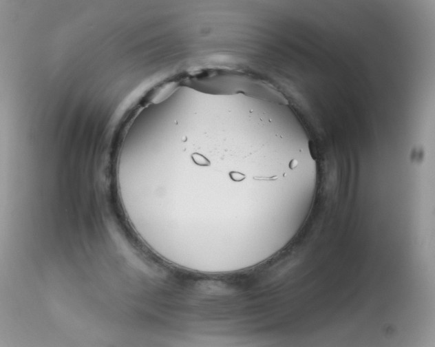 X0000113090392200909182119