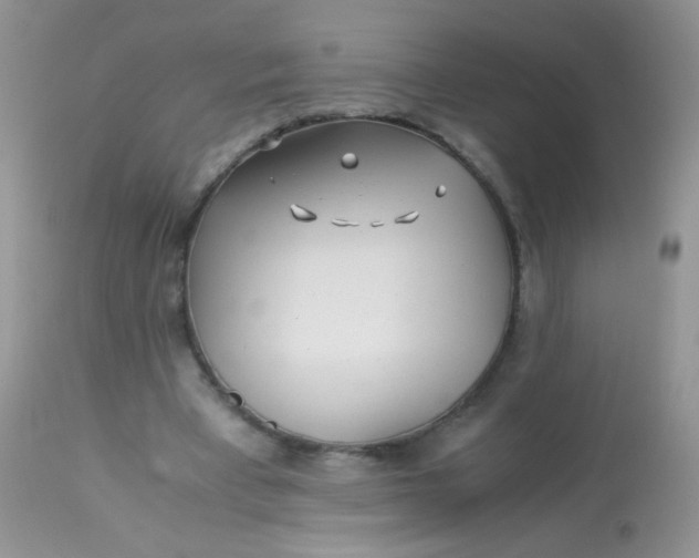 X0000113090393200909182119