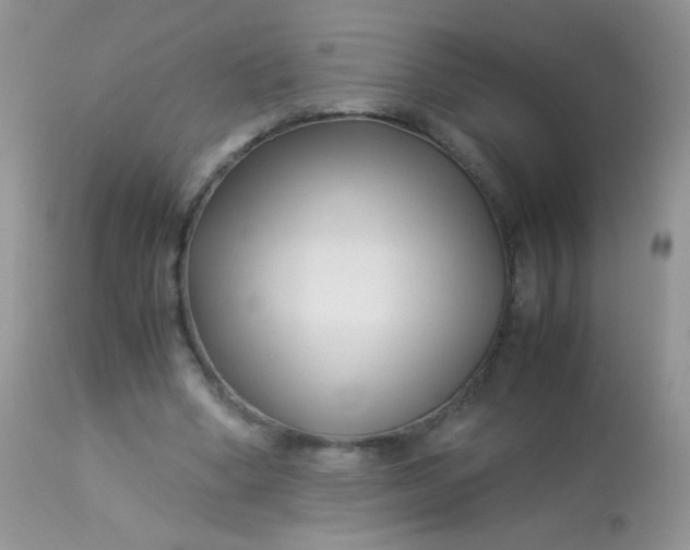 X0000113090394200909182119