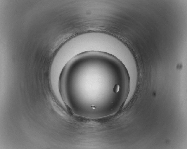 X0000113090397200909182119