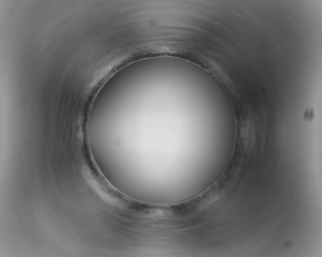 X0000113090398200909182119