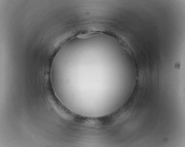 X0000113090402200909182119