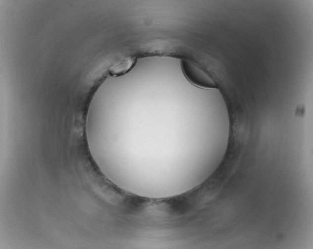 X0000113090403200909182119