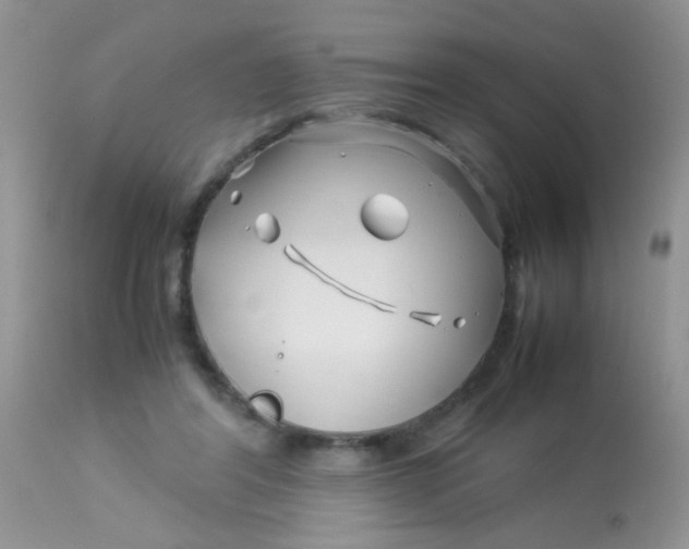 X0000113090404200909182119