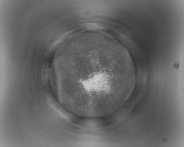 X0000113090405200909182119