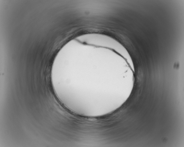 X0000113090409200909182119