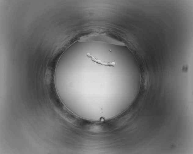 X0000113090412200909182119