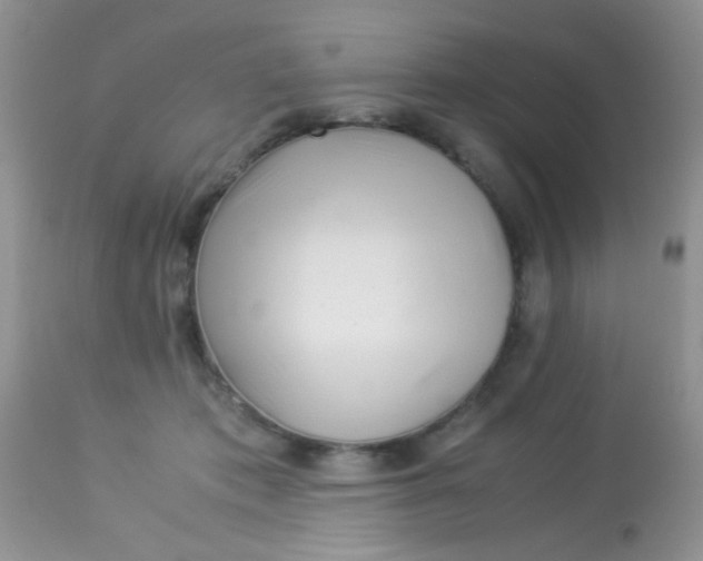 X0000113090413200909182119