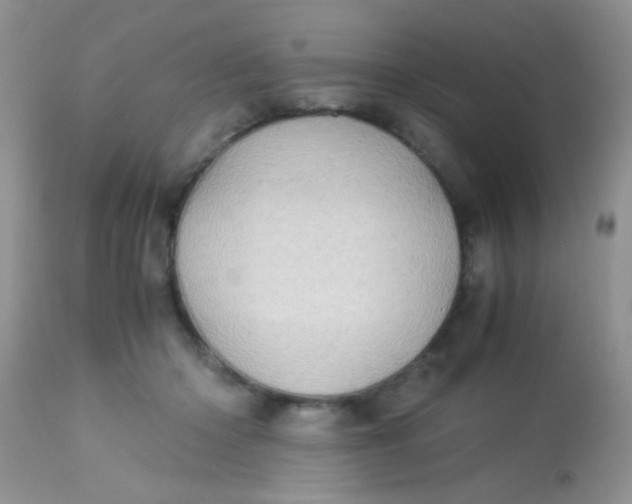 X0000113090414200909182119