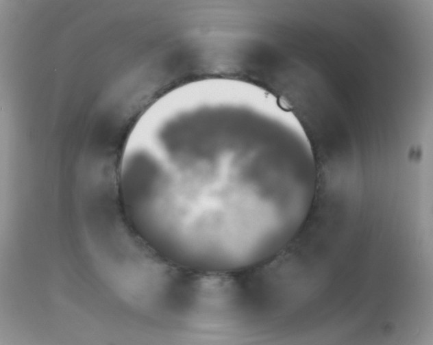 X0000113090415200909182119