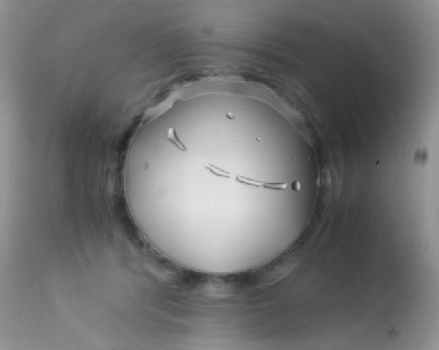 X0000113090416200909182119