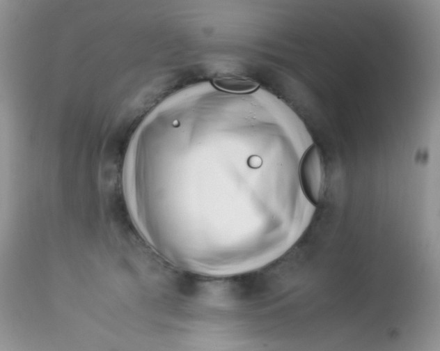 X0000113090417200909182119