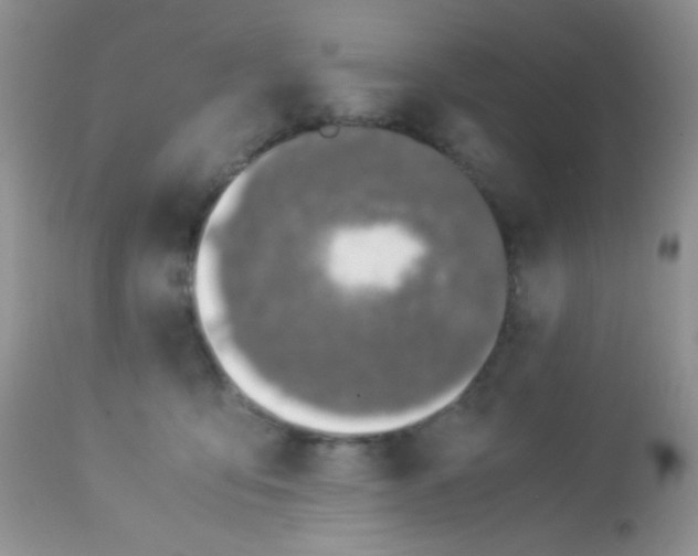 X0000113090419200909182119