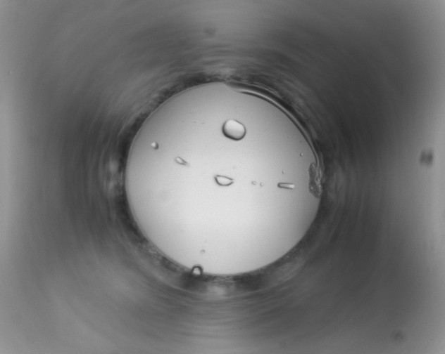 X0000113090420200909182119