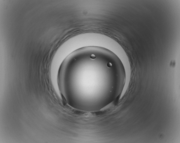 X0000113090421200909182119