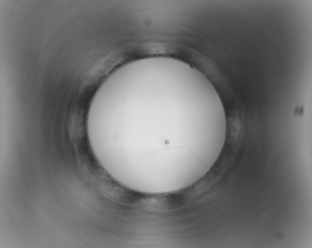 X0000113090422200909182119